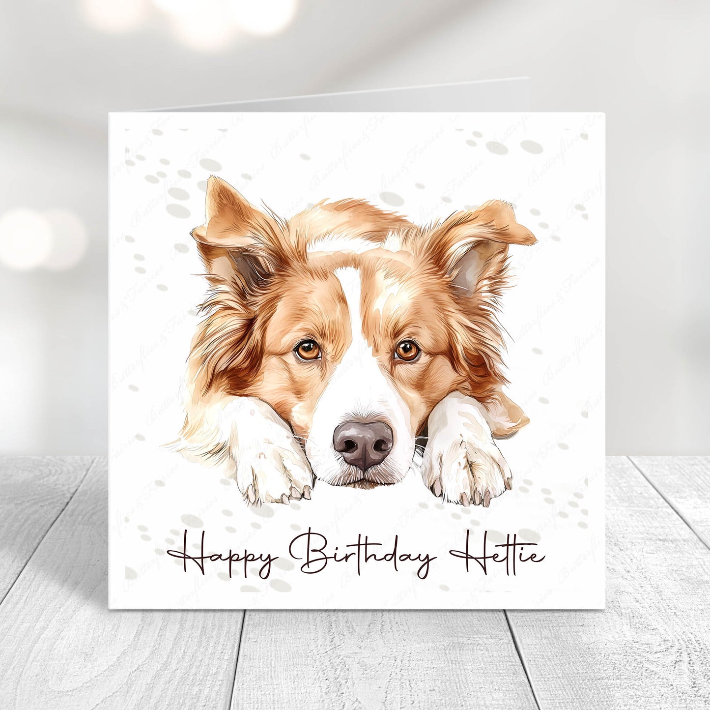 Personalised Border Collie Birthday Card – Cute Dog Lover Card