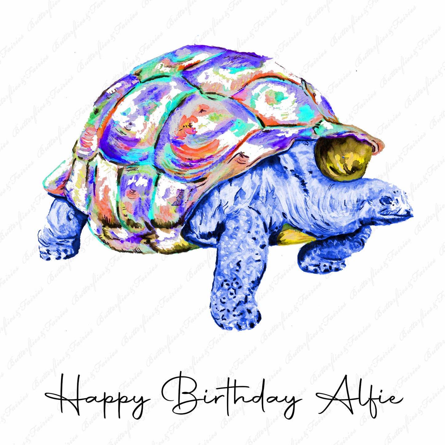 Personalised Tortoise Birthday Card
