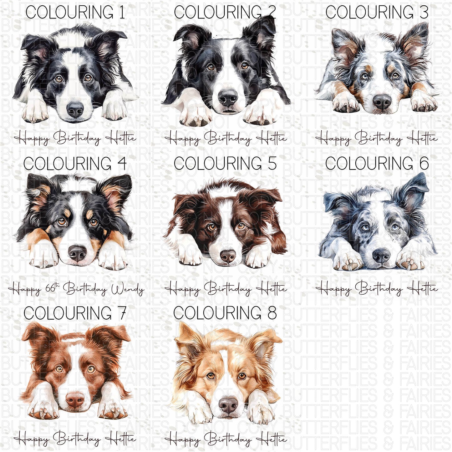 Personalised Border Collie Birthday Card – Cute Dog Lover Card