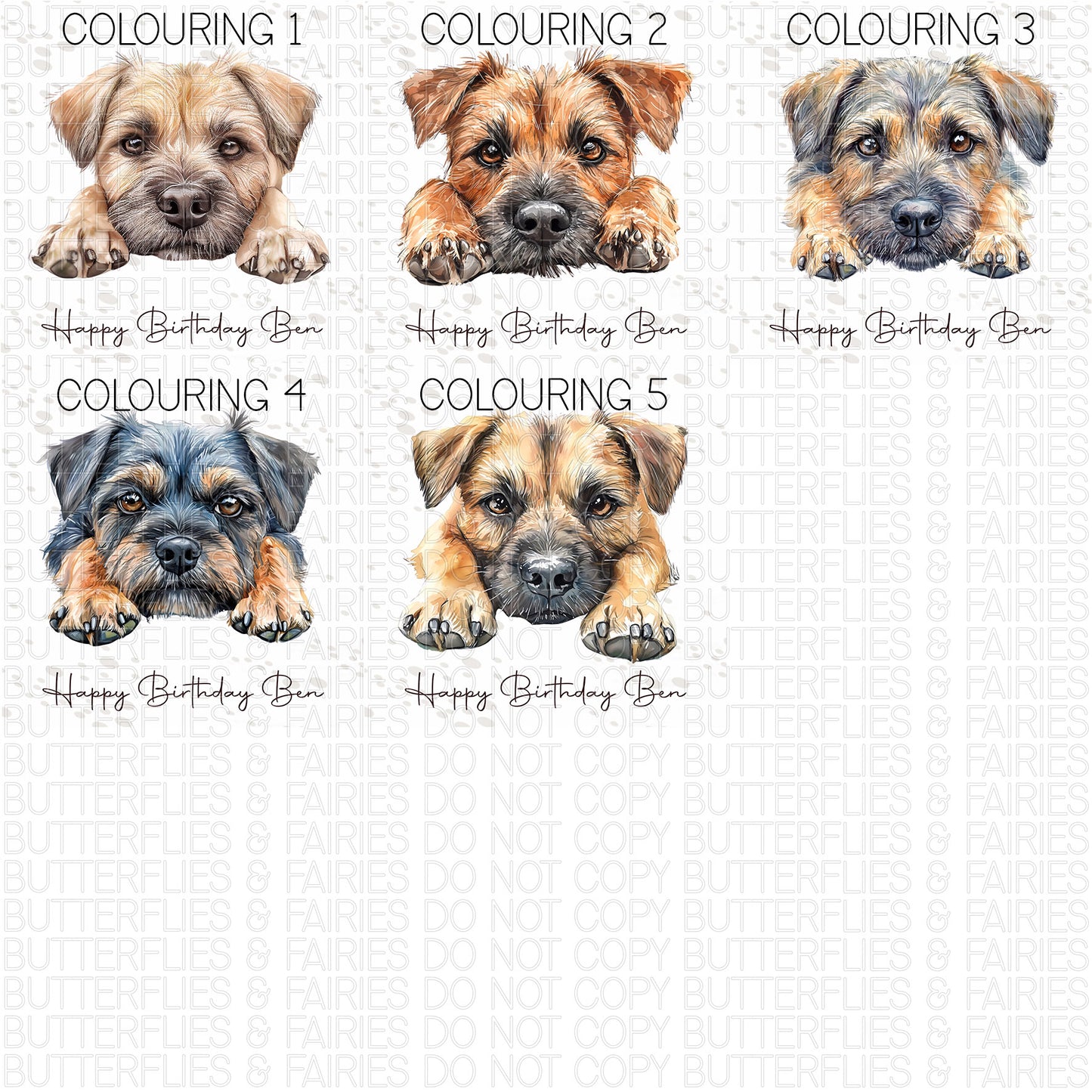 Personalised Border Terrier Birthday Card – Cute Dog Lover Card