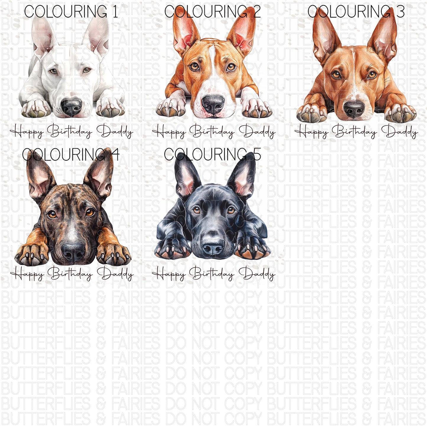 Personalised Bull Terrier Birthday Card – Cute Dog Lover Card