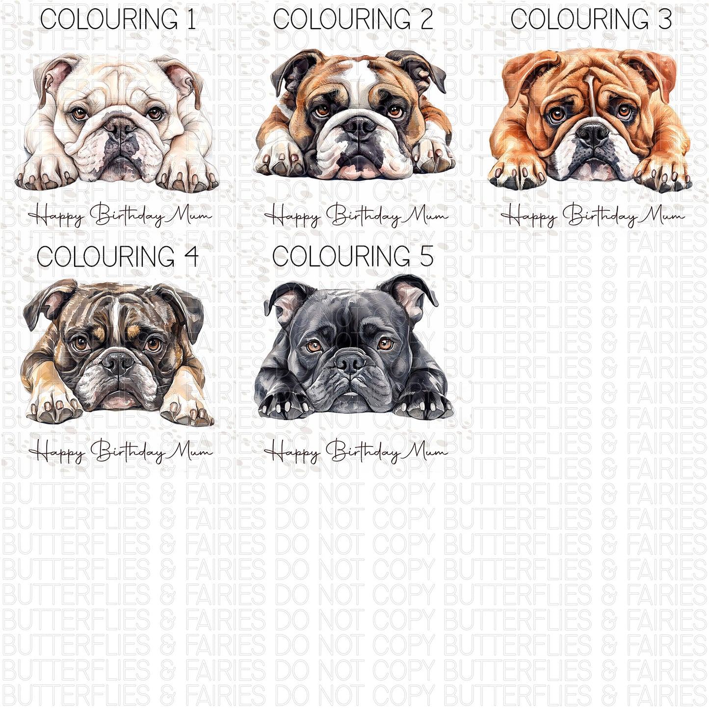 Personalised Bulldog Birthday Card – Cute Dog Lover Card